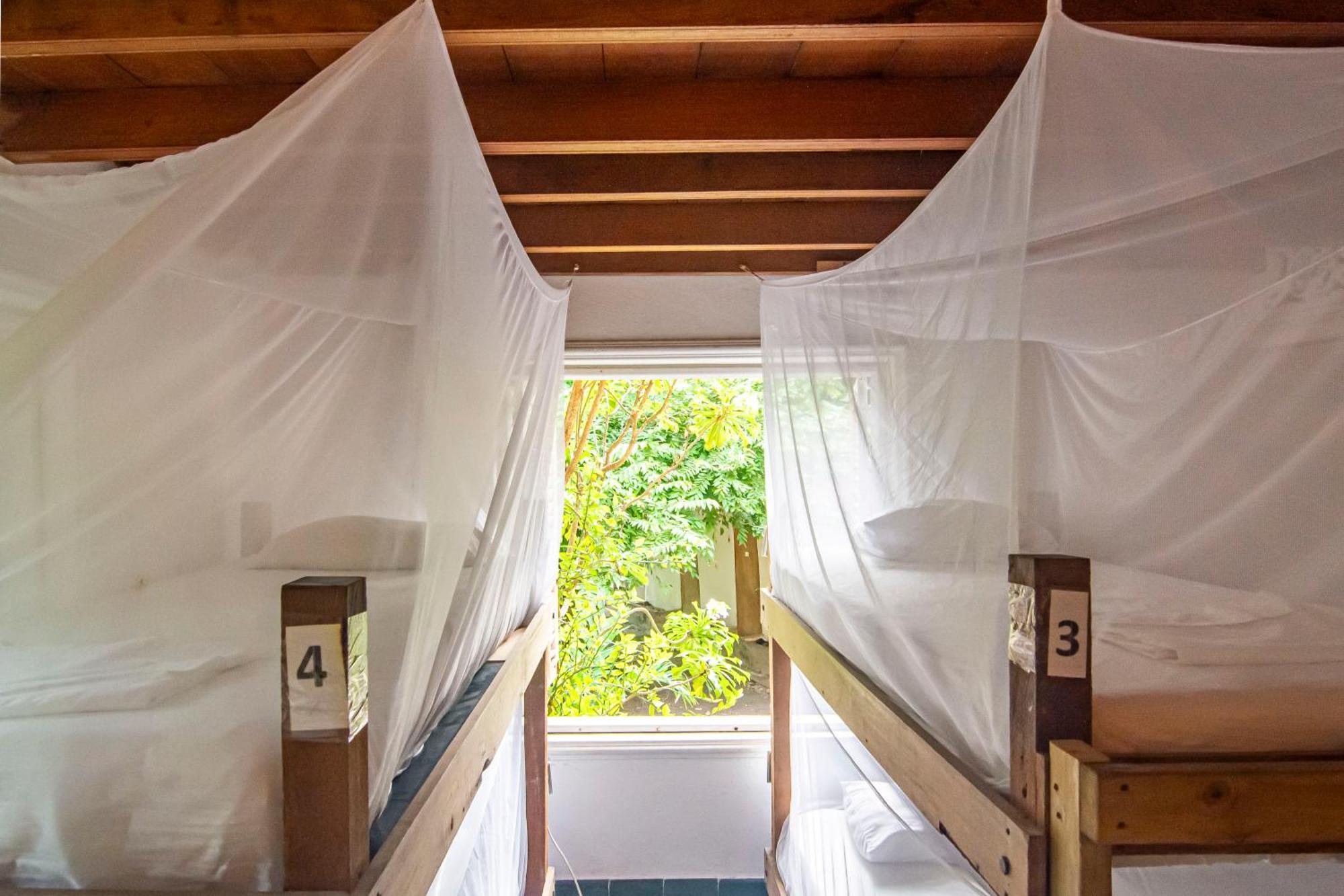 Hostal Secreto Isla Grande  Exterior foto